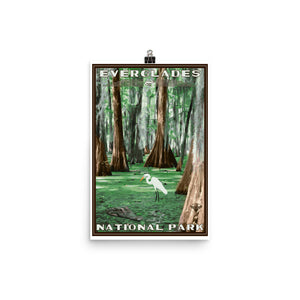 Florida Everglades National Park Print